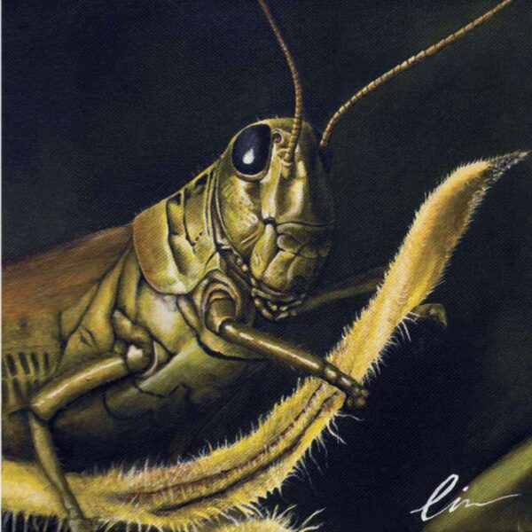 Grasshopper-painting-by-Cindy Chinn