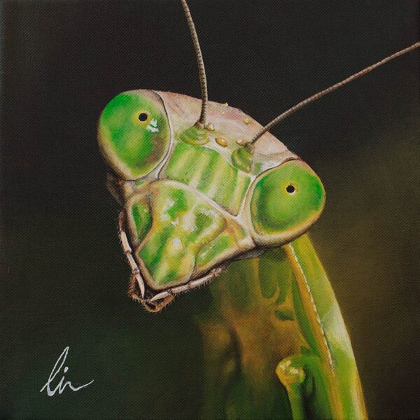 praying-mantis-painting-by-cindy-chinn