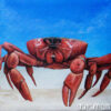 red-crab-painting-by-Cindy Chinn