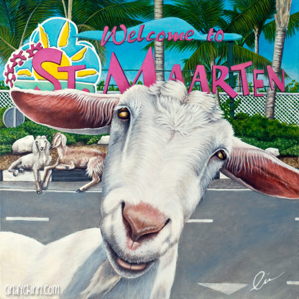 painting of a goat "Sofie" Welcome to SXM