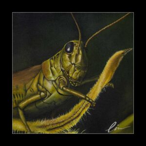 grasshopper-painting-print-in-black-matte
