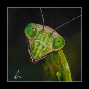 mantis-painting-print-in-black-matte